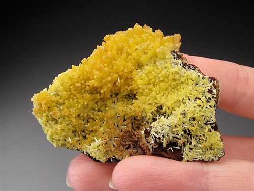 Mimetite ojuela mine - mimetite,, mapimi